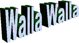 wpe47.jpg (10351 bytes)