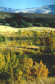 walla2.jpg (10811 bytes)
